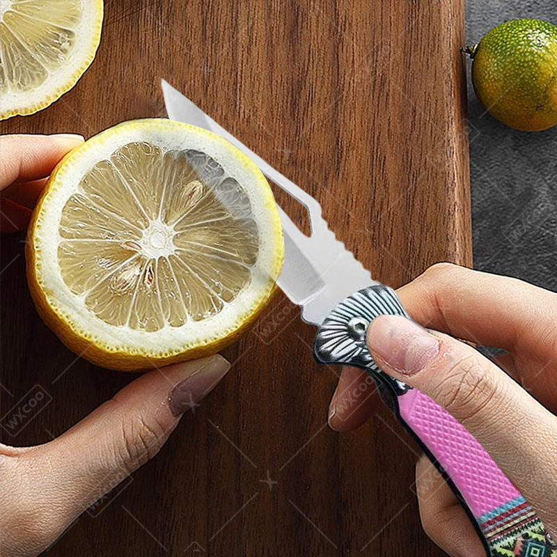WXCOO Folding Knife Stainless  - Kitchen Q reseña y precio